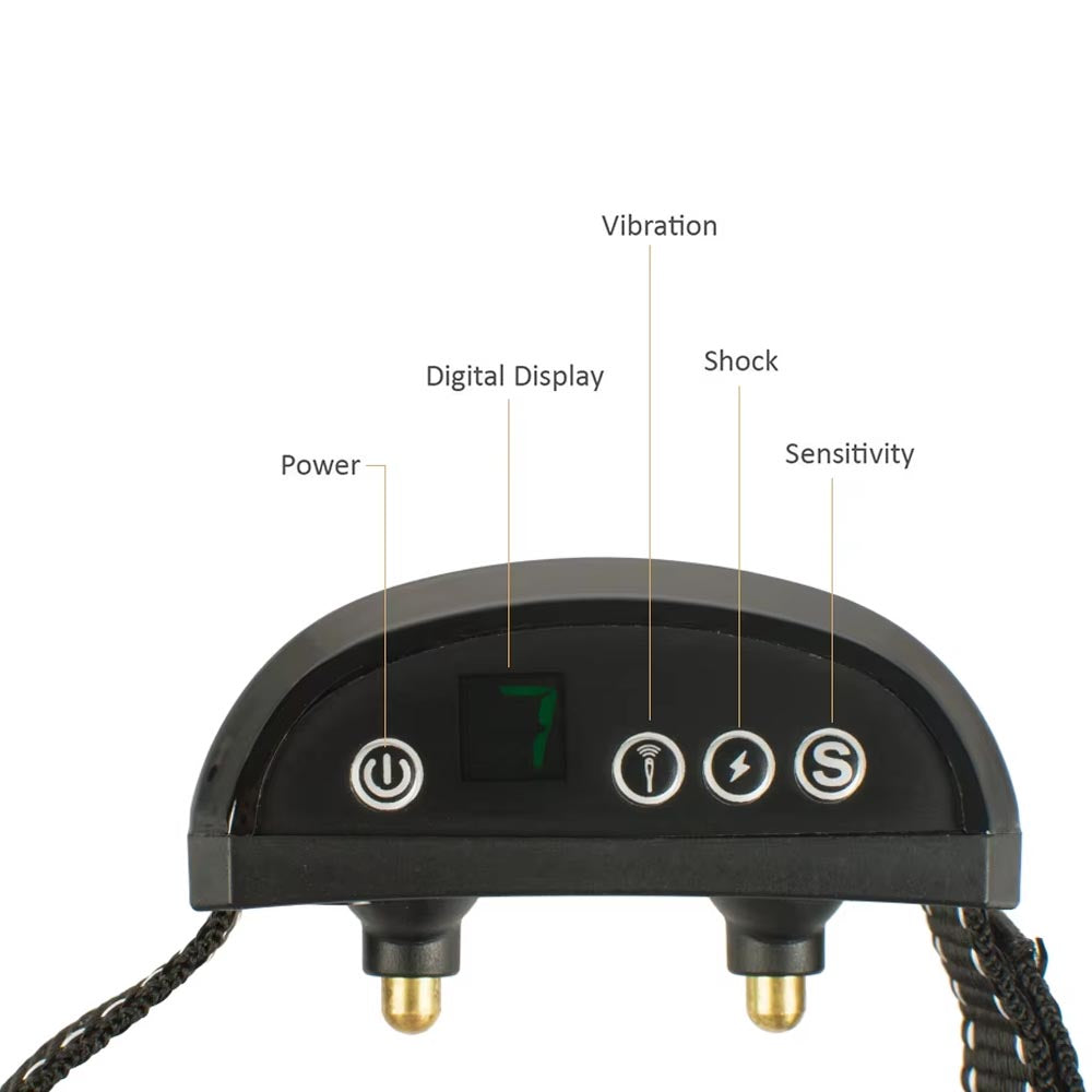 Buzzing Punishment Electric Collar