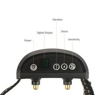Buzzing Punishment Electric Collar