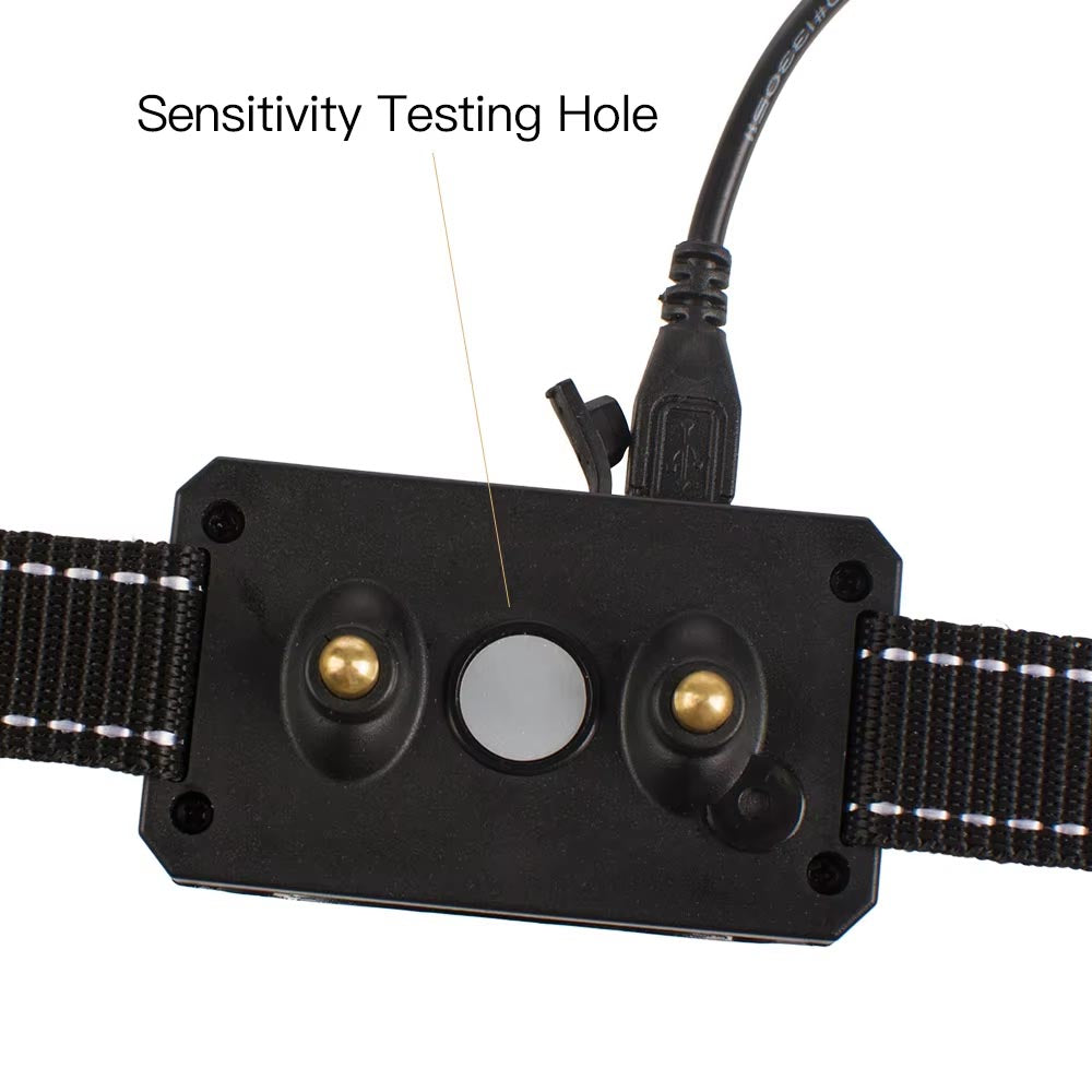 Buzzing Punishment Electric Collar