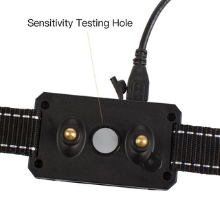 Buzzing Punishment Electric Collar