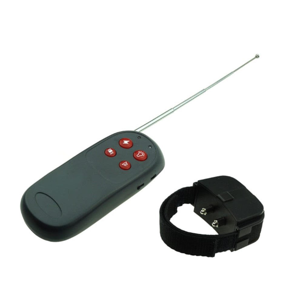 You are looking at an image of Wireless Cock Torture BDSM Taser, a compact device with dual antennas for precise stimulation.