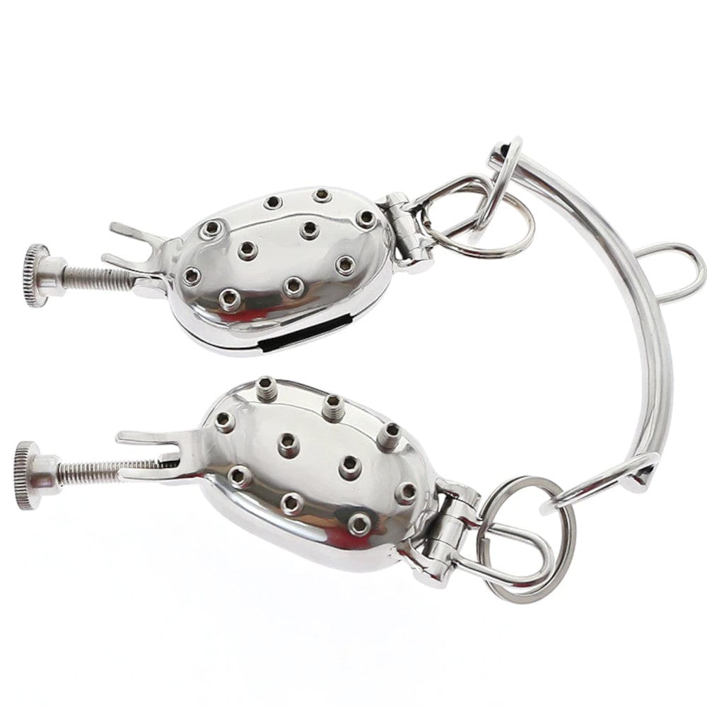 Observe an image of Stainless Ball Clamp CBT Torture Device showcasing dual adjustable ball clamps and removable screws with Allen key for control.
