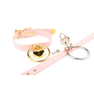 You are looking at an image of Sexy Playtime Fetish DDLG Collar with a unique design for role-play fantasies.