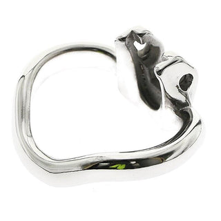 Check out an image of Accessory Ring for Indiana Bones Device emphasizing easy cleaning and storage for practical use.