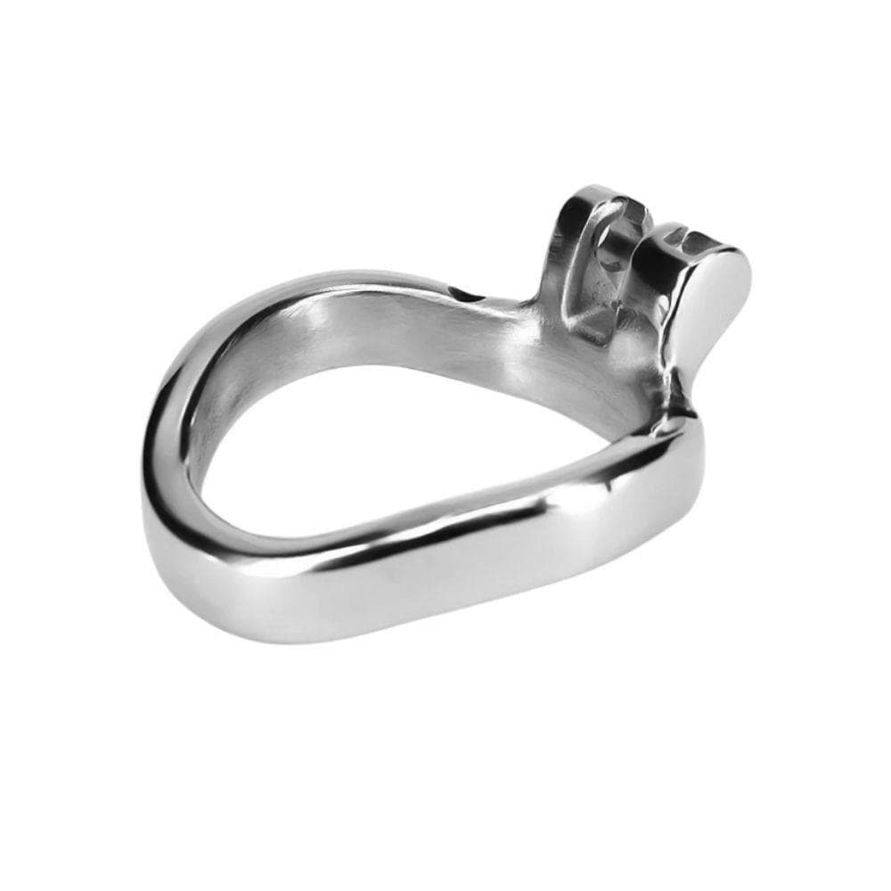 A picture of the high-quality and durable accessory ring for Steely Small Holy Trainer V4.